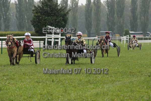 ET0Q0042 prot