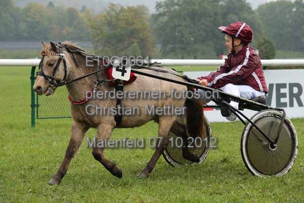 ET0Q0061 prot