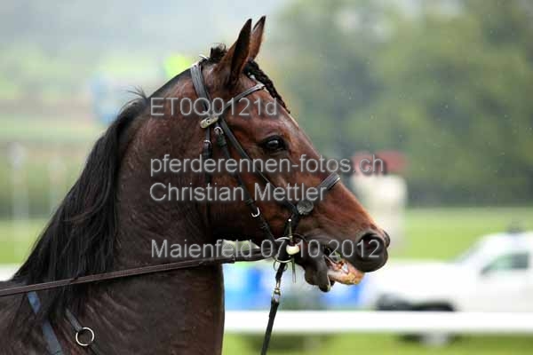 ET0Q0121d prot