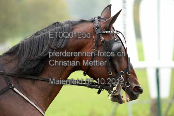 ET0Q0125d prot