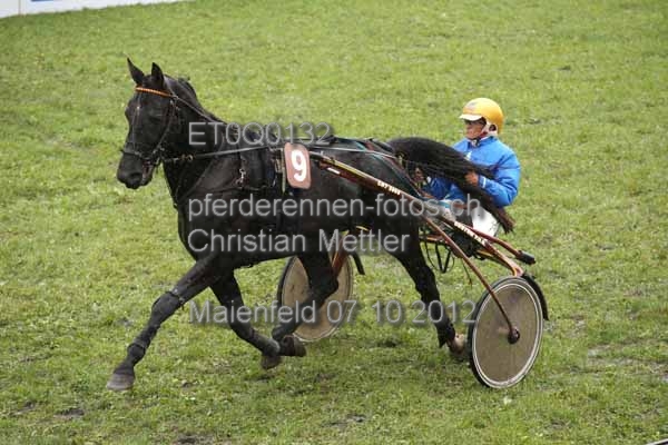 ET0Q0132 prot