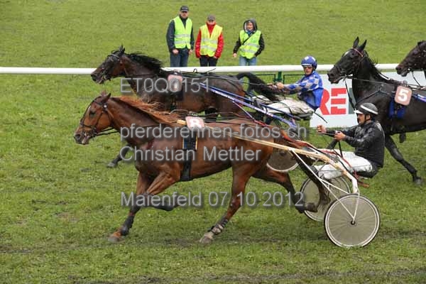 ET0Q0151 prot