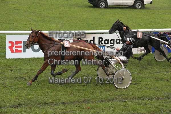 ET0Q0165 prot