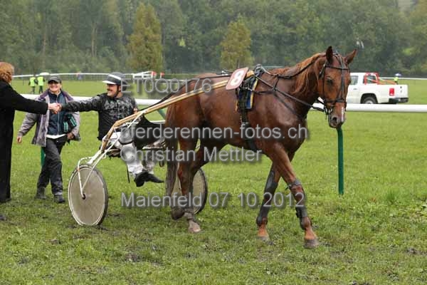 ET0Q0176 prot