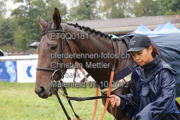 ET0Q0181 prot