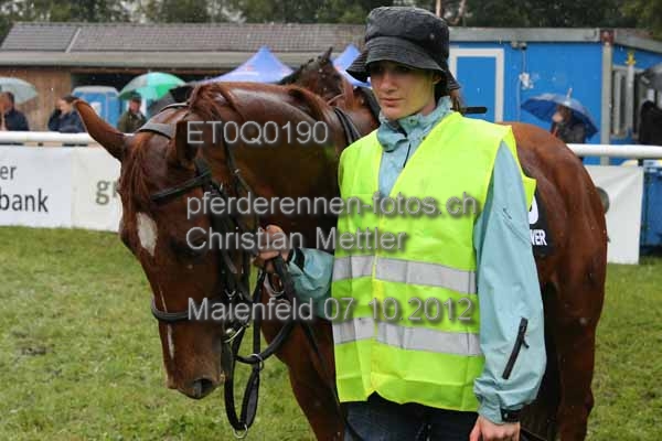 ET0Q0190 prot