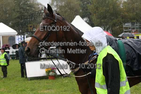 ET0Q0192 prot