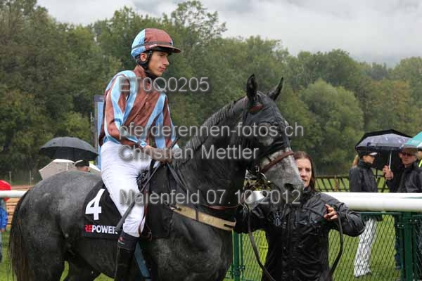 ET0Q0205 prot