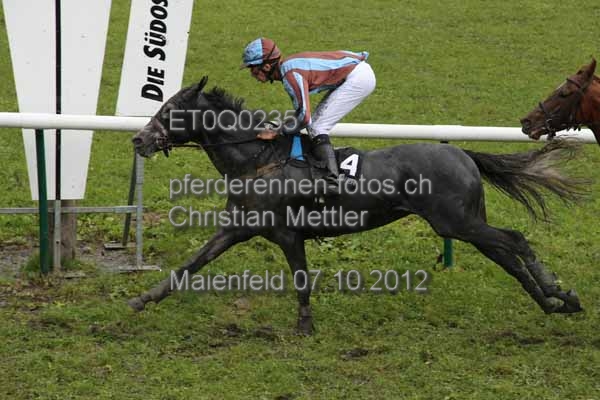 ET0Q0235 prot