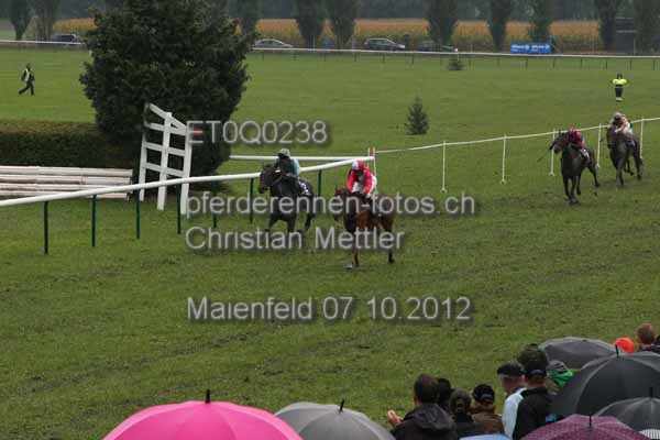 ET0Q0238 prot
