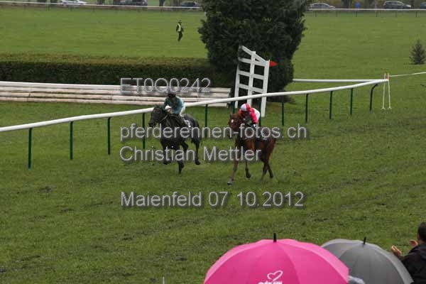 ET0Q0242 prot