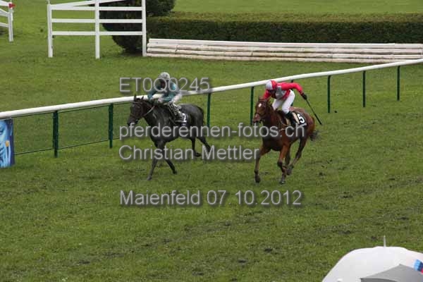 ET0Q0245 prot
