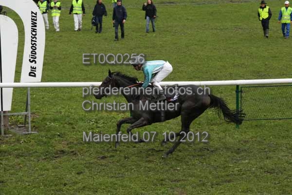 ET0Q0256 prot