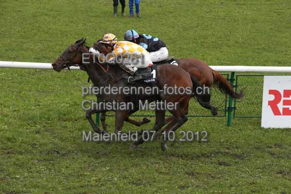 ET0Q0261 prot