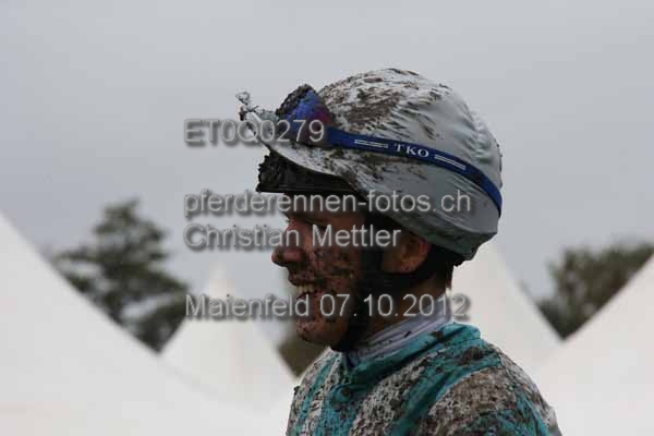 ET0Q0279 prot