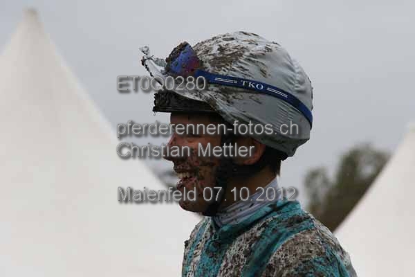 ET0Q0280 prot