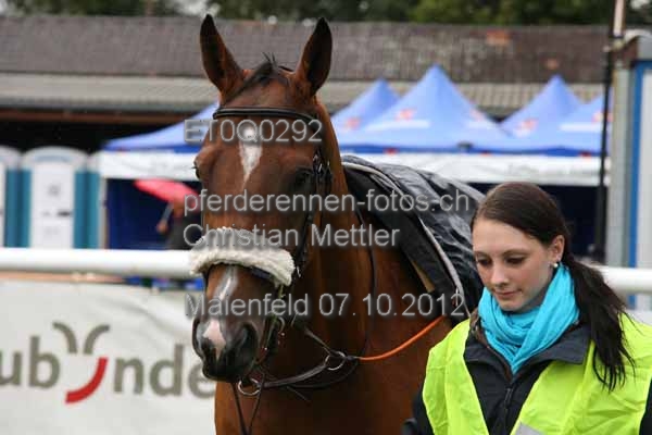 ET0Q0292 prot