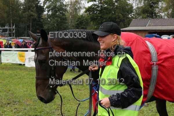 ET0Q0308 prot