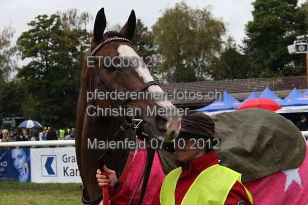 ET0Q0312 prot