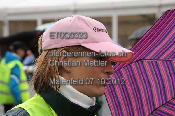 ET0Q0323 prot