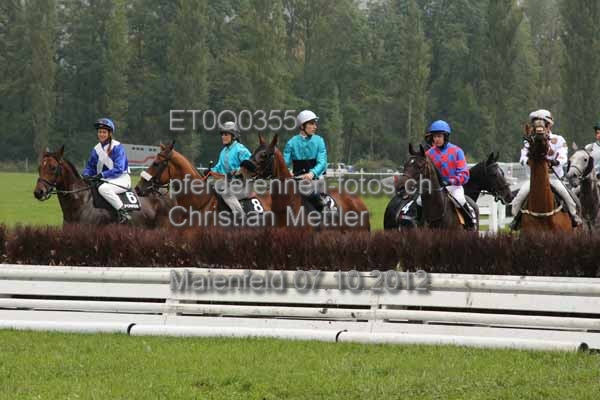 ET0Q0355 prot