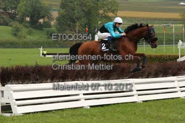 ET0Q0364 prot