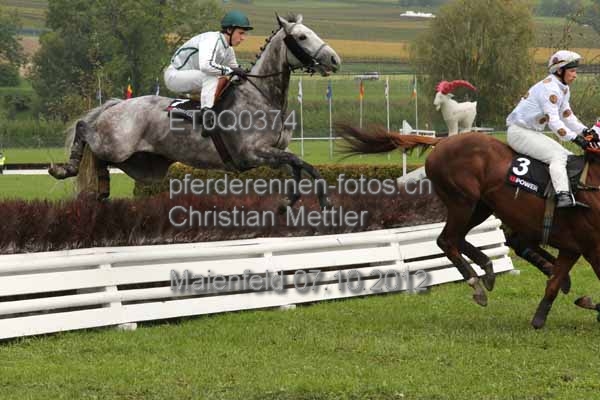 ET0Q0374 prot