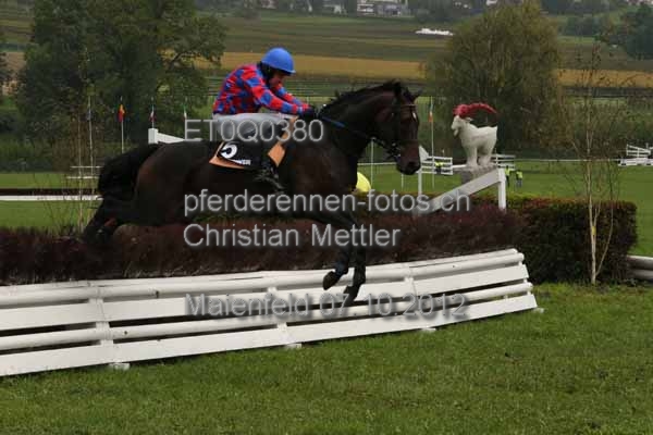 ET0Q0380 prot