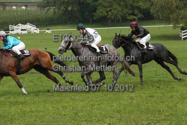 ET0Q0443 prot