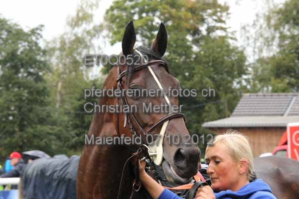 ET0Q0520 prot