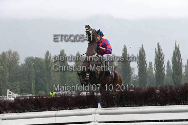 ET0Q0541 prot