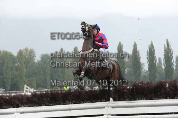 ET0Q0542 prot