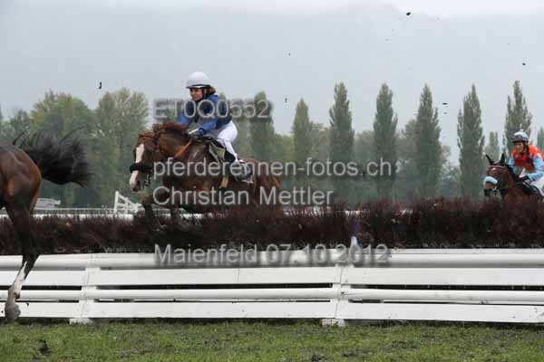 ET0Q0552 prot