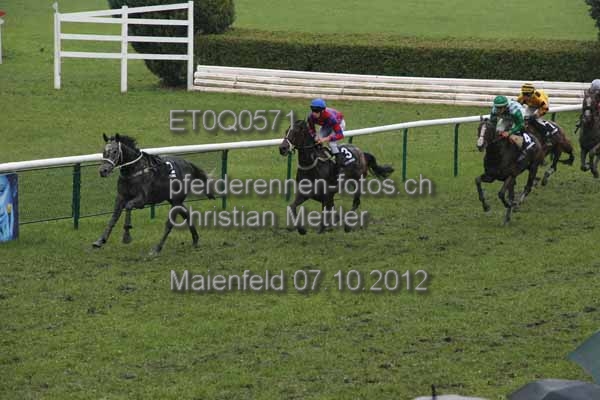 ET0Q0571 prot