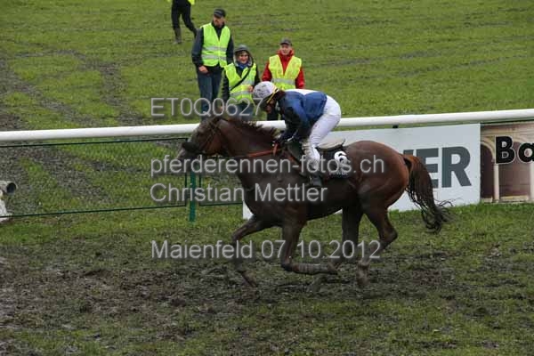 ET0Q0627 prot