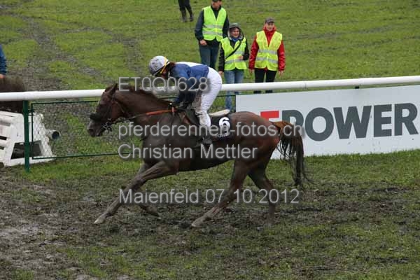 ET0Q0628 prot