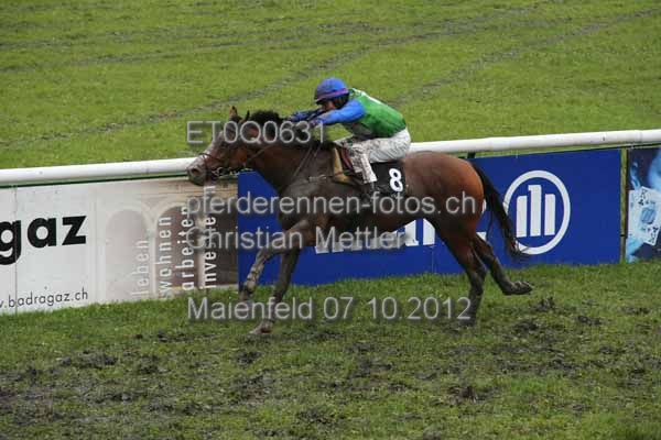 ET0Q0631 prot