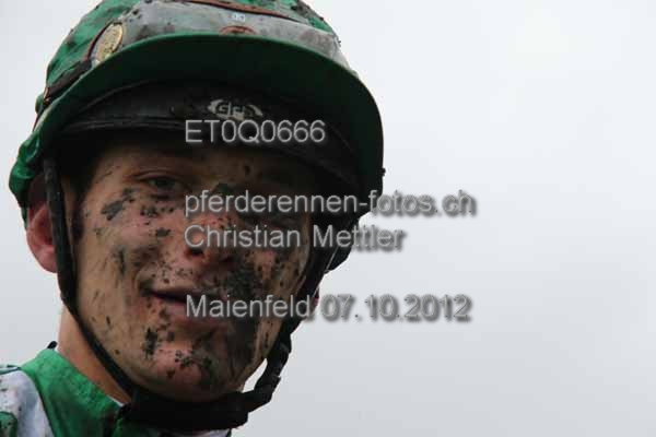 ET0Q0666 prot