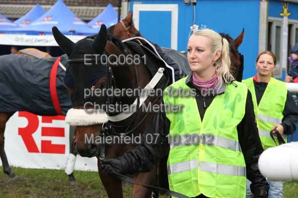 ET0Q0681 prot