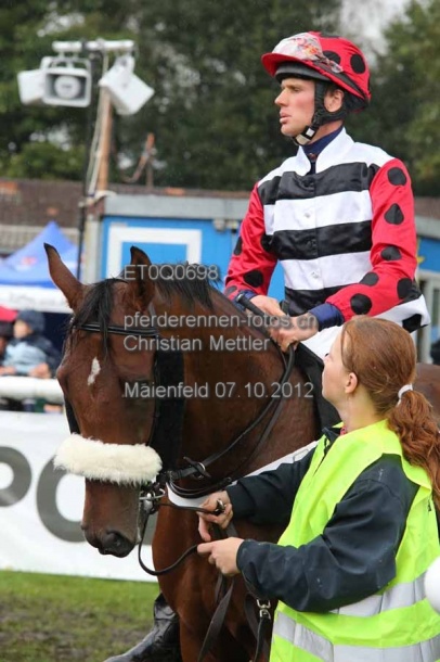 ET0Q0698 prot