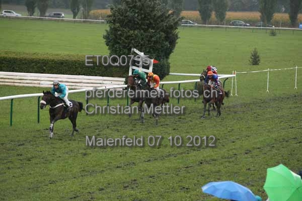 ET0Q0735 prot