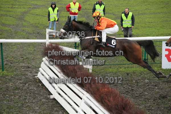 ET0Q0738 prot