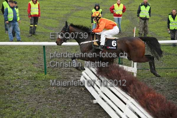 ET0Q0739 prot
