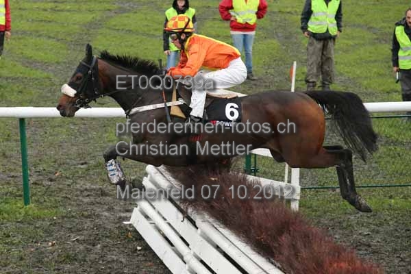 ET0Q0739a prot