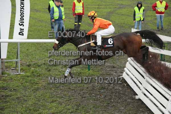 ET0Q0740 prot