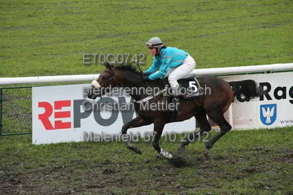 ET0Q0742 prot