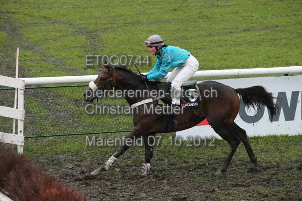 ET0Q0744 prot