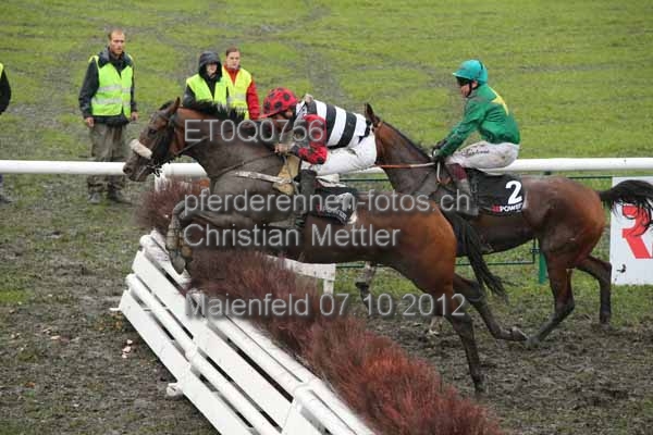 ET0Q0756 prot