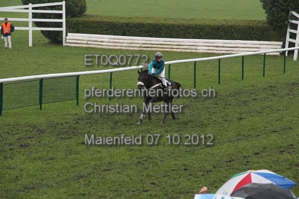 ET0Q0772 prot