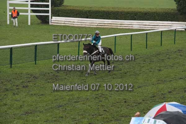 ET0Q0773 prot